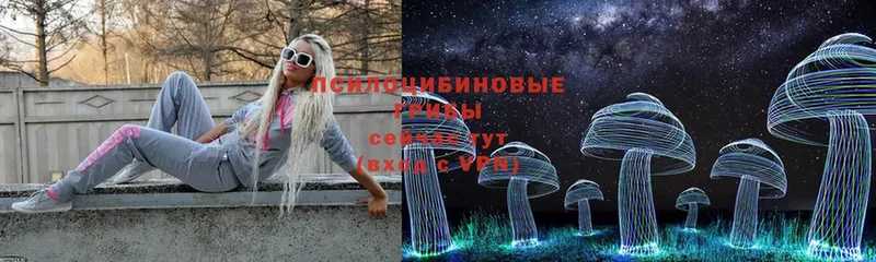 Галлюциногенные грибы Magic Shrooms  Ярославль 